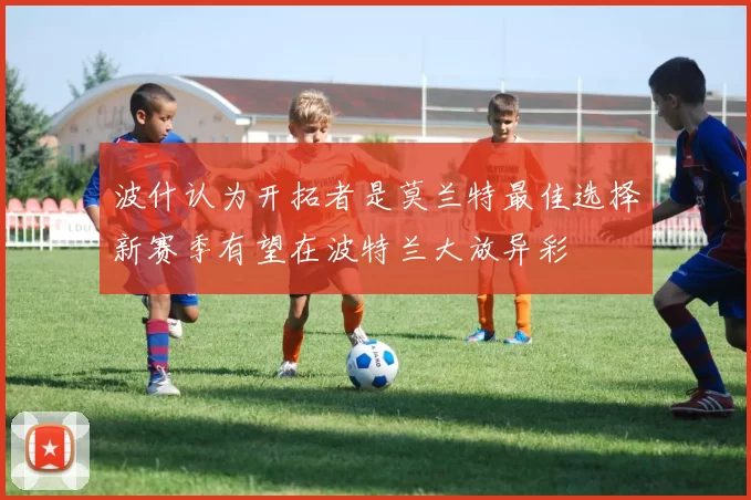 波什认为开拓者是莫兰特最佳选择新赛季有望在波特兰大放异彩